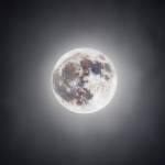MJBL DNDL Profile Picture