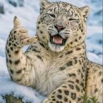 Following profile image