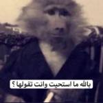jedo Lala Profile Picture