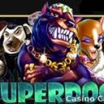 superdog superdog Profile Picture