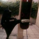 Hafida Morsadi Profile Picture