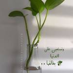 Following profile image