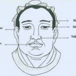 pillsand skills Profile Picture