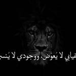 محمد شحات Profile Picture
