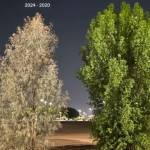 سجاد اس Profile Picture