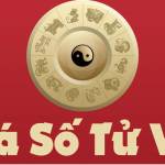 Following profile image