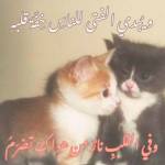 هبه احمد Profile Picture