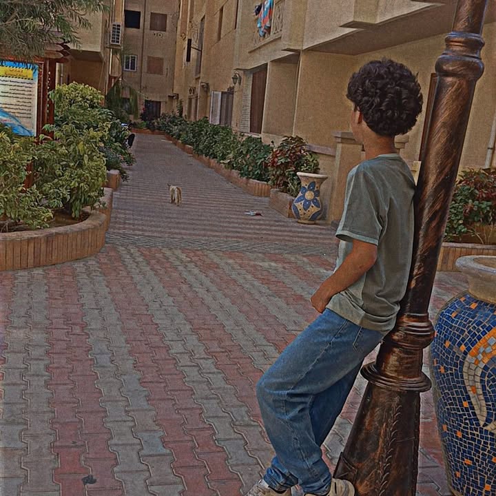 Malek Negm Profile Picture