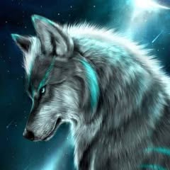 Ashraf Algeno Profile Picture