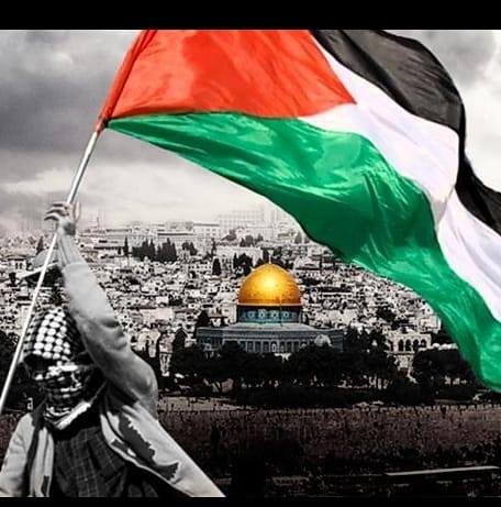 Mohammad Alnajjar Profile Picture