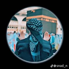 SalahEddien Laib Profile Picture