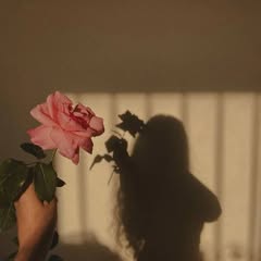 Emy Nasser Profile Picture