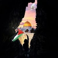 Sara Turky Profile Picture