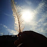 Following profile image