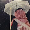 Qays Issa Profile Picture