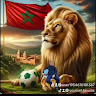 Al moustadira Al maghribia Profile Picture