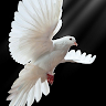 Following profile image