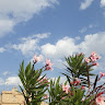 Following profile image
