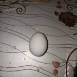 kalare kalare Profile Picture