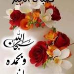 نجد راعي Profile Picture