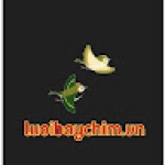 Following profile image