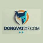 dongvat247 com Profile Picture