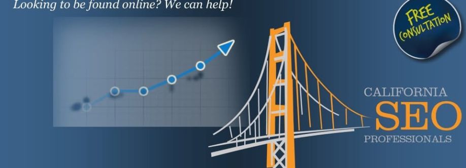 Caliafornia SEO Proffessional cover