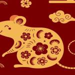 Following profile image