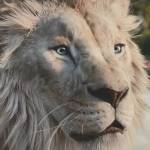 Following profile image