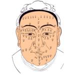 Following profile image