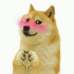 Following profile image