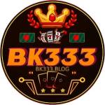 BK333 blog Profile Picture