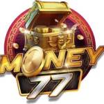 money77 money77 Profile Picture