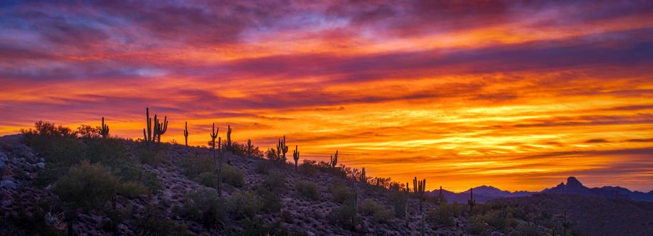Pima Behavioral Health cover