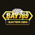 bay7899org Profile Picture