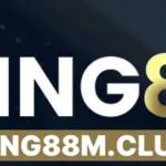 King88 King88 Profile Picture