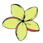 Plumeria Lei Greetings