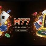 M77 M77 Profile Picture