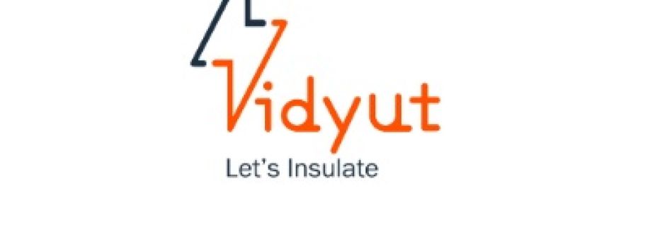 Vidyut Impex cover
