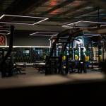 Flex Equipment Profile Picture