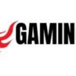 Gaming Satta