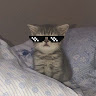 Tasnim Profile Picture