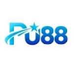 PU88 Profile Picture