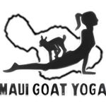 Maui Goat Yoga Profile Picture