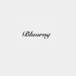 Bluorng Retail Private Limited Profile Picture