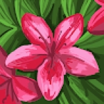 Following profile image