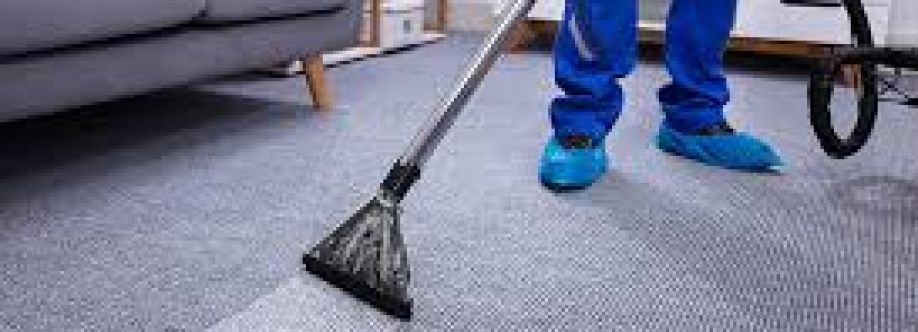 The Role of Carpet Cleaning Services in Wellness