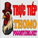 ĐÁ GÀ TRỰC TIẾP THOMO HÔM NAY TẠI CAMPUCHIA Profile Picture