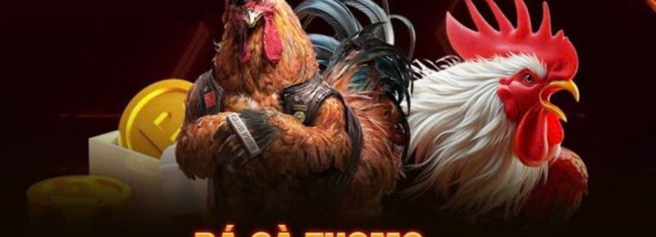 BẢO STING cover