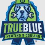 calltrue blueair